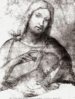 Images Dated 4th March 2008: The Redeemer, drawing by Andrea Solario, in the Gabinetto dei Disegni e delle Stampe