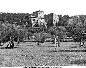 Images Dated 3rd April 2012: Remains of a fortress, with lateral tower, environs of Lake Trasimeno with many olive trees in