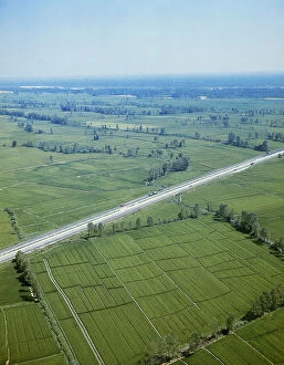 Images Dated 5th July 2007: Rice paddies in the Vercellese