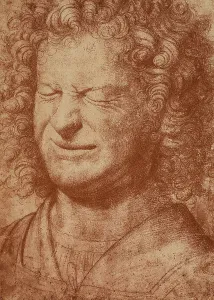 Sammlung Bildender Kunst - Zeichnungen Drucke: Ritratto eines Mannes mit einer Grimasse, Zeichnung von Leonardo da Vinci (Schule)