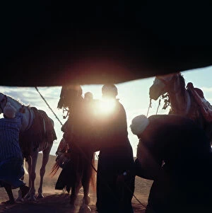 Images Dated 14th October 2011: Sahara: the arrival of riders at sunset, seen from a Bedouin tent in the oasis of Fayoum