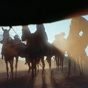 Images Dated 14th October 2011: Sahara: the arrival of riders at sunset, seen from a Bedouin tent in the oasis of Fayoum
