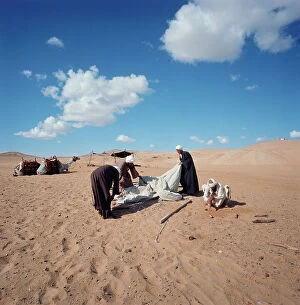 Images Dated 14th October 2011: Sahara: bivouac and camel nomads in the desert camp