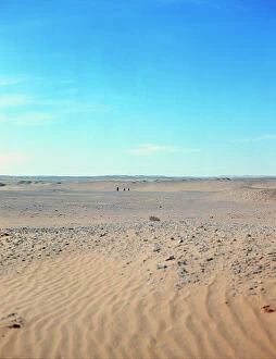 Images Dated 18th October 2011: Sahara: come near of the camel in the immensity of the desert, from the top of a rock