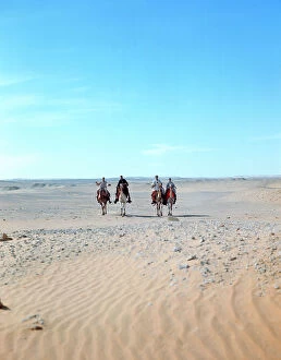 Images Dated 18th October 2011: Sahara: come near of the camel in the immensity of the desert, from the top of a rock
