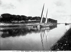 Images Dated 14th September 2006: The San Vitale pinewood and the Corsini canal at the harbor of Ravenna