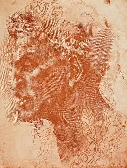 Images Dated 8th March 2011: Satyr's Head; drawing by Michelangelo. The Louvre, Paris