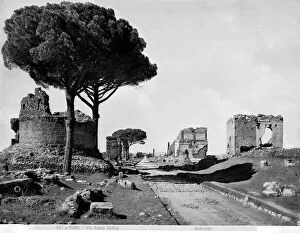 Images Dated 29th June 2011: A section of Via Appia Antica, Rome