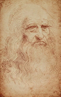 Images Dated 16th March 2011: Self-portrait of Leonardo da Vinci; celebrated drawing by the Master. Biblioteca Reale, Turin