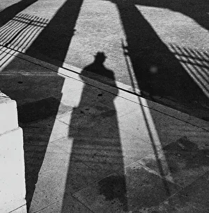La sombra (Luz y sombras)