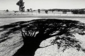 Ombre dun arbre