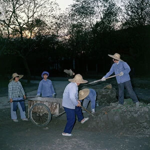 Images Dated 27th October 2009: Shanghai. Women workers loading dirt in a public garden in the working quarter