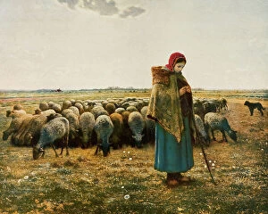 Images Dated 3rd March 2011: Shepherdess with flock, Jean-Franois Millet (1814-1875), oil on canvas, Muse d'Orsay, Paris