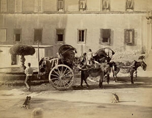 Images Dated 4th August 2010: Sicilian cart to transport goods and people