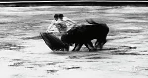 Images Dated 12th April 2011: Snapshot of a bullfight with a toreador facing a bull
