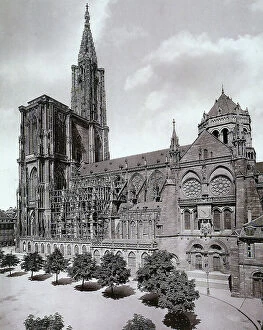 Images Dated 29th March 2011: Southern side of Notre Dame Cathedral in Strasbourg