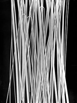 Trending: Spaghetti; advertising image of the Bodonian Lithograph