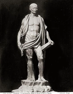 Images Dated 28th February 2008: St. Bartholomew skinned. Sculpture by Marco d'Agrate, located in the Cathedral of Milan