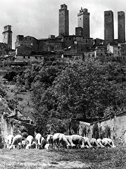 Images Dated 12th April 2011: St. Gimignano