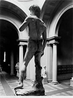 Images Dated 18th June 2010: The Statue of David by Michelangelo, viewed from the back, in the tribune of the Galleria