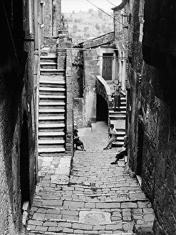 Images Dated 25th July 2011: Street of Pitigliano