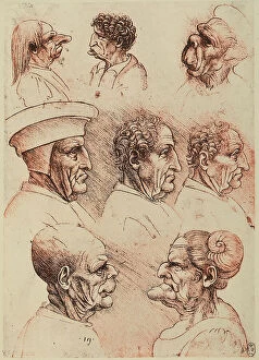 Images Dated 22nd October 2009: Study of caricatures, pen and sanguine drawing on white paper by Leonardo da Vinci