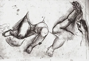 Images Dated 27th February 2008: Study of children's legs, by Andrea del Sarto. Gabinetto dei Disegni e delle Stampe