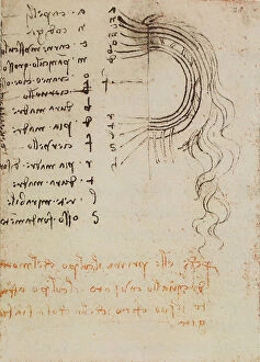 Images Dated 23rd April 2009: Study on the composition of the cutis, writings from the Codex Forster III, c.28r