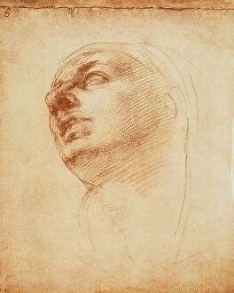 Images Dated 8th March 2011: Study of the face of the Madonna del Tondo Doni, drawing, Michelangelo