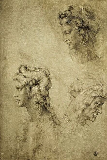 Images Dated 8th March 2011: Study of female heads, drawing by Raphael; Gabinetto dei Disegni e delle Stampe, Uffizi Gallery