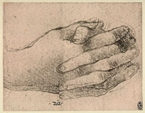 Images Dated 22nd October 2009: Study of hands, black pencil drawing on lightly golden paper by Leonardo da Vinci
