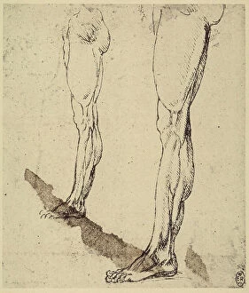 Images Dated 22nd October 2009: Study of legs, by Leonardo da Vinci, silver point and pen drawing on white paper