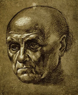 Images Dated 16th March 2011: Study of a male face; drawing, Leonardo da Vinci (attributed to), The Louvre, Paris
