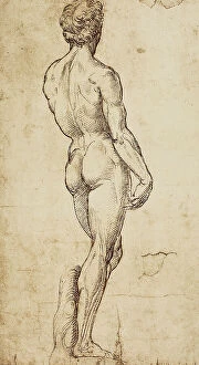 Images Dated 9th March 2011: Study of a male figure seen from the back; drawing by Raphael. British Museum, London