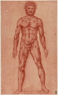 Images Dated 22nd October 2009: Study of a male nude, sanguine drawing on red paper by Leonardo da Vinci