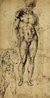 Images Dated 8th March 2011: Study of nudes or Cupid and Apollo, drawing by Michelangelo and kept in the Louvre Museum in Paris