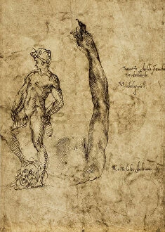 Images Dated 8th March 2011: Study for the statue of David; drawing by Michelangelo. The Louvre, Paris