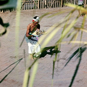 Images Dated 17th August 2011: Sunda Islands. Island of Bali. Offered to a Hindu deity asking for a good harvest of rice