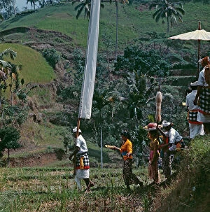 Images Dated 17th August 2011: Sunda Islands. Island of Bali. The rice crop propitiatory procession in Bali