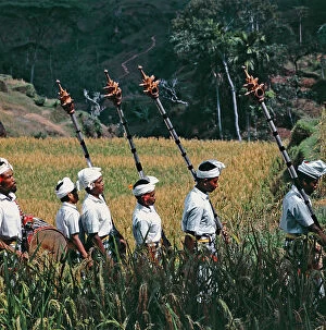 Images Dated 17th August 2011: Sunda Islands. Island of Bali. The rice crop propitiatory procession in Bali