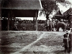 Images Dated 25th March 2011: Thai tamers riding their elephants, watched by a crowd of Thais