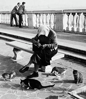 Images Dated 1st April 2011: 'The old woman and the cats of Venice'. An elderly woman, seated on a bench
