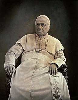 Images Dated 9th May 2011: Three-quarter length portrait of Pius IX. The pope, in a white cassock
