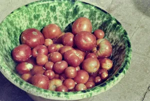 Tomates sur une table italienne