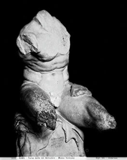 Images Dated 2nd March 2009: Torso by Belvedere preserved in the Pius-Clementine Museum, Vatican Museums, Vatican City