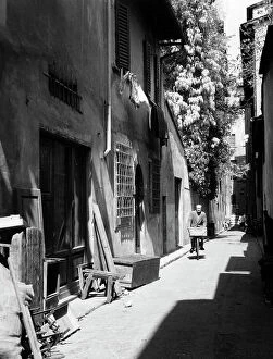 Images Dated 26th March 2010: Toscanella street, Florence