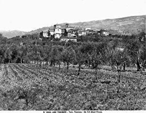 Images Dated 3rd April 2012: The town of Tuoro sul Trasimeno. The town is located on a hill, with many olive trees below