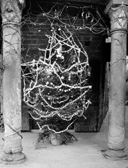 Images Dated 19th September 2008: A tree, decorated for Christmas, placed along a city street, under a gallery held up by two columns