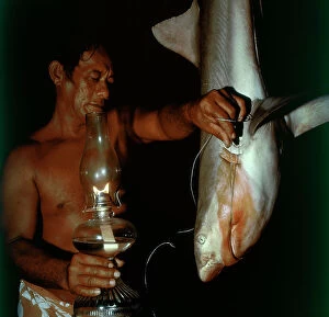 Images Dated 29th February 2012: Tuamotu Islands. Manihi. Night fishing hook, catching small sharks