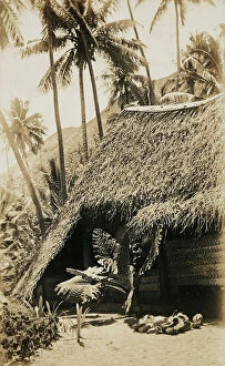 Images Dated 5th April 2011: Typical house surrounded by tropical plants, Tahiti